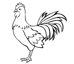 Check spelling or type a new query. Chicken Template Animal Templates Free Premium Templates