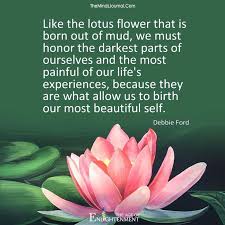 We Are Like The Lotus Lotus Flower Quote Flower Quotes Lotus Flower Meaning