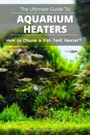 The Ultimate Aquarium Heater Guide Fish Laboratory In 2020 Aquarium Heater Aquarium Aquarium Filter