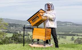 Online Beekeeping Course