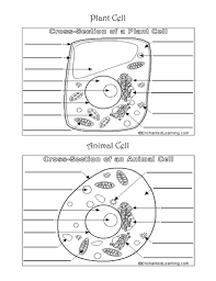 Check spelling or type a new query. Plant Cell Animal Cell Worksheet Promotiontablecovers