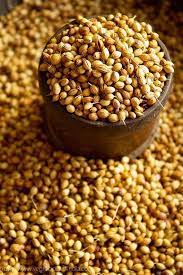 Organic Coriander Seeds Sabut Dhaniya Roasted Coriander Etsy In 2021 Coriander Seeds Food Seasoning Recipes