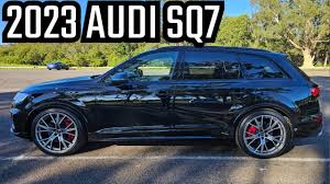 Image result for Tamarind Brown 2023 SQ7