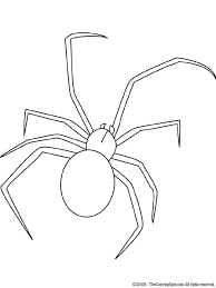 Black Widow Spider Spider Drawing Black Widow Spider Spider Coloring Page