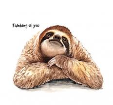 Watercolor Sloth Hand Painted Illustration Sloth Art Sloth Drawing Sloth