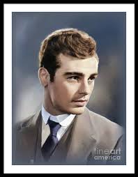 Stockwell Framed Art Prints for Sale