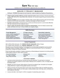 Finance manager job description template. Experienced It Project Manager Resume Project Manager Resume Project Management Resume Examples