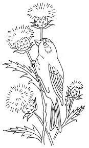 bird and thistle points de broderie dessin coloriage modele lettres