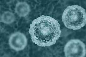 Basic structural unit of all organisms: Stem Cell Technology The Only Constant Is Change