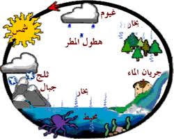 دورة الماء في الطبيعة الكاتب Wald Bernousi تمهيد تحتوي الأنظمة البيئية المختلفة على جمادات وأحياء متنوعة وتشمل الجمادات الكثير من المواد الأساسية والضرورية لحياة الكائنات الحية التي تعيش في هذه الأنظمة البيئية ومن المواد التي تحتاجها الأحياء وتستهلكها