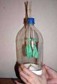 Creating Model Working Lungs Just Breathe Activity Teachengineering