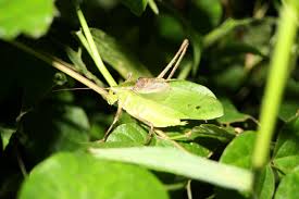 東葛毎日新聞社