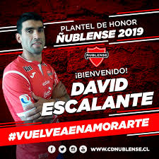 Browse the best blue colored logo designs from companies big & small, and easily create a vibrant blue and turquoise logos evoke feelings of intelligence, confidence, and trust. Deportivo Nublense Twitter àªªàª° Bienvenido David Escalante El Chiquito Se Suma A Las Incorporaciones Del Cuadro Chillanejo Que Necesitaba Reforzar Su Centro De Ataque Bienvenido Y Exito David Escalante Ya Eres Parte