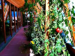 Earthship Garden Google Search Earthship Earthship Home Earth Homes