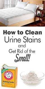 Tips And Tricks To Get Rid Of Urine Stains And The Lingering Smell For Good Urine Stains House Cleaning Tips Mattress Cleaning