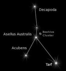 This sign is in a trigon with scorpio and pisces signs. Cancer Symbol Zodiac Sign Astrology