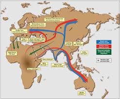 Dna methylation maps can be used to predict anatomical features in hominins and chimpanzees, allowing for reconstruction of a putative anatomical prole of the denisovan, currently absent from the. Early Human Migrations Wikipedia