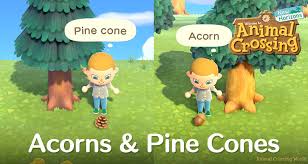 Colors may vary from what is shown, but the overall look and feel of the set will remain the same. Acorn Pine Cone Diy Crafting Recipes How To Find Get Them In Animal Crossing New Horizons Acnh Guides Animal Crossing World