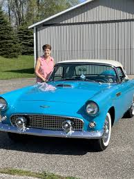 Image result for Navajo Gray 1956 Thunderbird