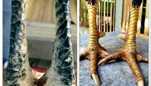 Lebih fantastis lagi ayam bangkok super pukul mati miliknya bisa bunuh lawan. Keunggulan Katurangan Sisik Ubed Ayam Bangkok By Shella Lie Medium