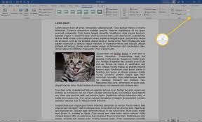 Here you can compress word doc, docx, docm, dotx and odt files online and reduce their file size of up to 90% the original size. How To Resize An Image Or Object In Word