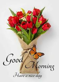 Maybe you would like to learn more about one of these? Pin By Sergio Vargas On Cute Good Morning Good Morning Smiley Good Morning Beautiful Flowers Good Morning Greetings