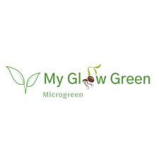 Is the successor to the former practitioners laboratory sdn. Glocomp Systems Home Facebook