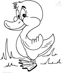 Duck color pages duck coloring pages duck coloring page. 1001 Coloringpages Animals Duck Duck Coloring Page