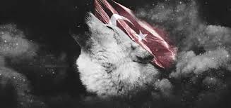 Iphone Turk Bayragi Duvar Kagitlari Indir Turk Bayraklari Resim Bayrak Duvar
