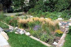 How much maintenance do rain gardens take? Rain Garden Designing Buildings Wiki
