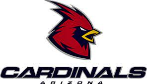 Psd Detail Arizona Cardinals Logo 2 Official Psds Arizona Cardinals Logo Logos Cardinals