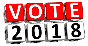 Image result for voting