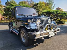 Image result for Monaco Black 1993 SsangYong