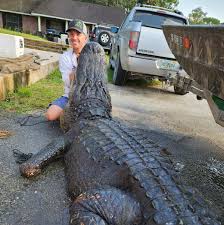 How To Determine An Alligator'S Worth With Louisiana'S Insta-Gator Ranch -  John In The Wildjohn In The Wild | John E. Phillips' Outdoor Journals