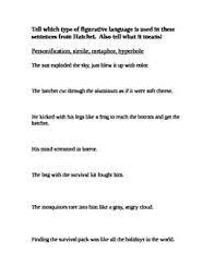 Figurative Language In Hatchet Figurative Language Figurative Language Worksheet Language Worksheets