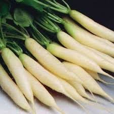 Benih lobak putih chinese radish long 20gr tafung bibit tanaman sayur biji ta fung. Penyakit Batu Karang Siaran Facebook