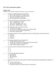 Copyright © mcdougal littell/houghton mifflin company. Chapter 8 From Dna To Proteins Vocabulary Practice Answers Studylib Net Essays Homework Help Flashcards Research Dna Strands Unwind Exposing The Coding Sequence Helmm Cle