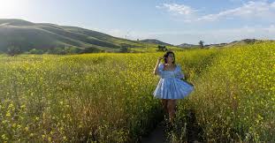 Maybe you would like to learn more about one of these? Chino Hills State Park Wildflowers Le Wild Explorer