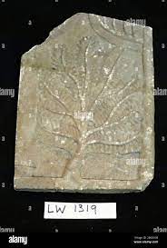 A relief from alabasterous limestone. It shows a small pomegranate tree,  given similar reliefs probably from the park of King Assurbanipal (669-627  BC), with ten branches, which are accurately made with leaves