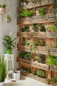Art Plante Vert D Agave Decoration Jardin Pots En Beton Et Jardins