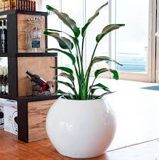 Check spelling or type a new query. Best Pots For Indoor Plants Top 10 Indoor Planters Pots Planters More