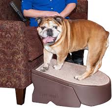 Merry products collapsible dog ramp: Amazon Com Pet Gear Stramp Stair And Ramp Combination Dog Cat Easy Step Lightweight Portable Sturdy Extra Wide Gentler Sloped Pet Supplies