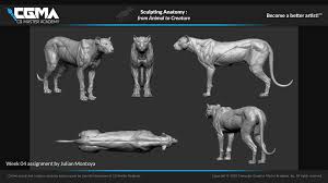 Artstation Cgma From Animal To Creature Winter 2019 Animal Selection Gael Kerchenbaum Animals My Animal Creatures