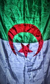 The eagle is considered by many as the king of the skies. Algerie Algeria Can Dz Flag Love Maillot Shirt Win Hd Mobile Wallpaper Peakpx
