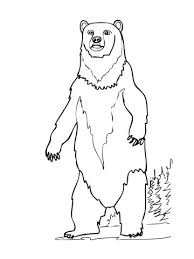 By best coloring pagesaugust 1st 2013. Cute Cub Cute Polar Bear Coloring Pages Novocom Top