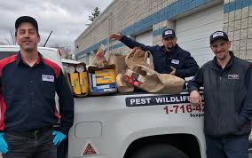 We're now one of the fastest growing companies in florida and south georgia and ranked in the top 100 pest control companies. Pmps Give Back In Creative Ways Pest Management Professional