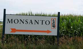 The monsanto chemical works was founded in 1901 by john f. Federal Suit Alleges Companies Knew Dicamba Would Drift Monsanto Created Monopoly Harvest Public Media