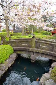 Cherry Blossoms Bridge Over Stream Koi Fish Bridge Over Stream Farmhouse Plans Outdoor