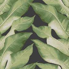 Wallpaper roll banana leaf tropical botanical pink and green preppy 24in x 27ft. Nv5540 Green Black Gold Beverly Hills Large Banana Leaf Wallpaper