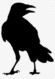 Find Hd Svg Transparent Download Crow Clipart Raven Silhouette Raven Png Png Download To Search And Download M Silhouette Art Raven Artwork Crow Silhouette